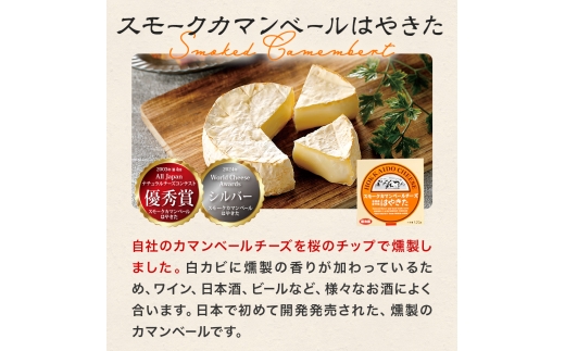 高評価! ナチュラルチーズコンテスト受賞! 夢民舎ブランド はやきたチーズ色々詰合せセット【配送不可地域：離島】【1001151】