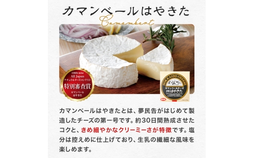 高評価! ナチュラルチーズコンテスト受賞! 夢民舎ブランド はやきたチーズ色々詰合せセット【配送不可地域：離島】【1001151】