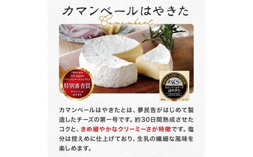 高評価! ナチュラルチーズコンテスト受賞! 夢民舎ブランド はやきたチーズ詰合せセット【配送不可地域：離島】【1000073】