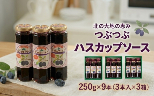 【北の大地の恵み】つぶつぶハスカップソース　ギフトセット　250g×9本【1900367】