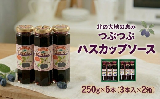 【北の大地の恵み】つぶつぶハスカップソース　ギフトセット　250g×6本【1900366】