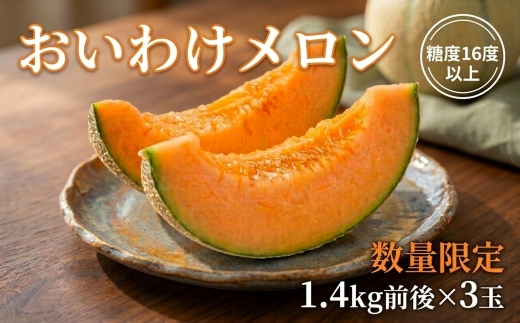 【2026年発送】おいわけメロンパック 糖度16度以上 1.4kg前後×3玉(数量限定)【1137369】