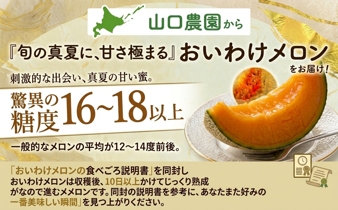 おいわけメロン 糖度16度以上 1.4kg前後×3玉(数量限定)【1137369】