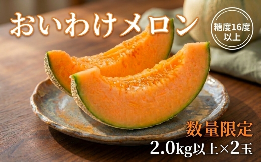 【2026年発送】おいわけメロンパック 糖度16度以上 2.0kg以上×2玉(数量限定)【1102220】