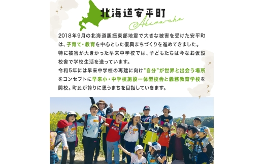 【2026年発送】おいわけメロンパック 糖度16度以上 2.0kg以上×2玉(数量限定)【1102220】