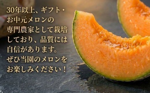 【2026年発送】おいわけメロンパック 糖度16度以上 2.0kg以上×2玉(数量限定)【1102220】