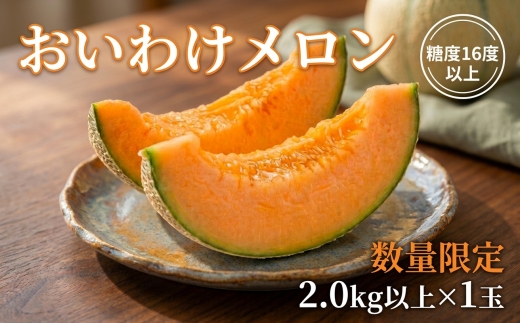 【2026年発送】おいわけメロン 糖度16度以上 2.0kg以上×1玉(数量限定)【1102196】