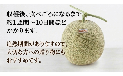 【2026年発送】おいわけメロン 糖度16度以上 2.0kg以上×1玉(数量限定)【1102196】