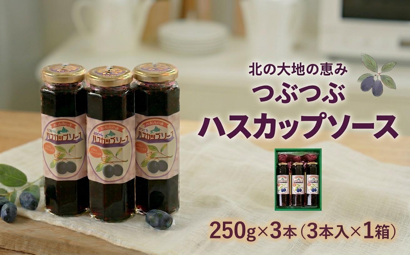 ＜北の大地の恵み＞つぶつぶハスカップソース　ギフトセット　250g×3本【1002315】