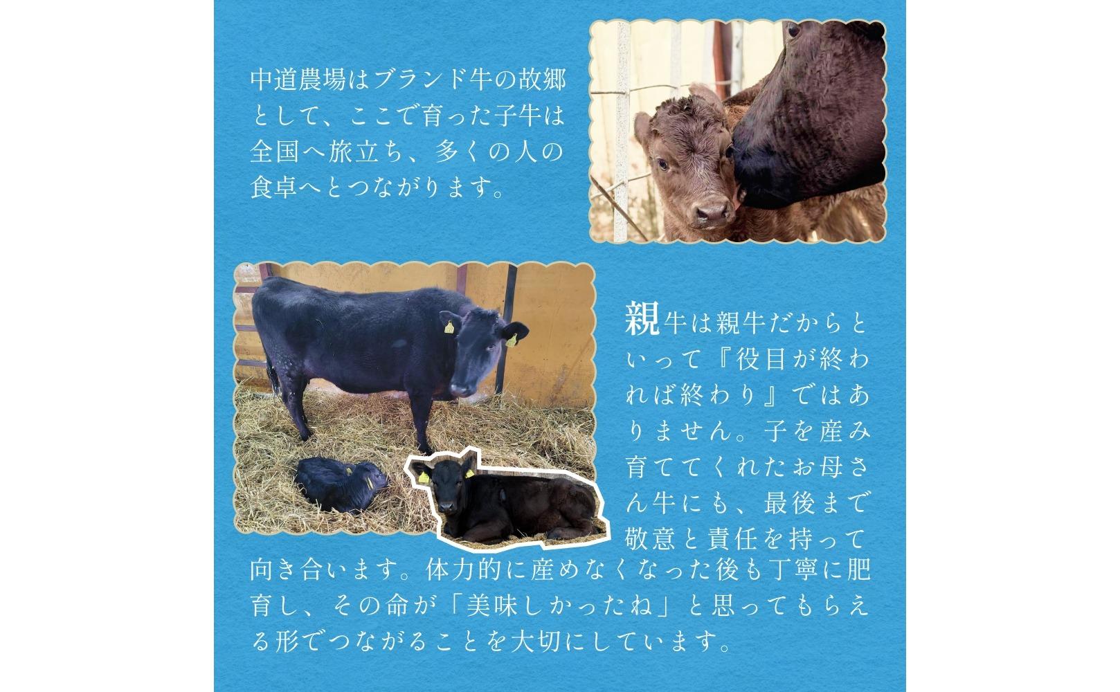ã èš³ãã ãåæµ·é å®å¹³çº 黿¯åç 100% ãã³ããŒã° 4å å®å¹³ç è åç çè å®å¹³ç£ é²è
å€äžäœ¿çš çè²æäžäœ¿çš å·å è§£åäžèŠ ç°¡å調ç ããã å®å¹³