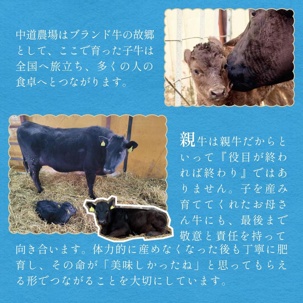 ã èš³ãã ãåæµ·é å®å¹³çº 黿¯åç 100% ãã³ããŒã° 8å å®å¹³ç è åç çè å®å¹³ç£ é²è
å€äžäœ¿çš çè²æäžäœ¿çš å·å è§£åäžèŠ ç°¡å調ç ããã å®å¹³
