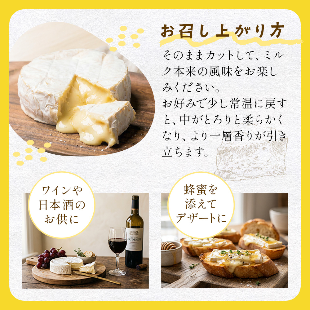 【4月配送】 カマンベールチーズ 1個 缶タイプ チーズ工房角谷 KAKUYA カマンベール 配送月指定