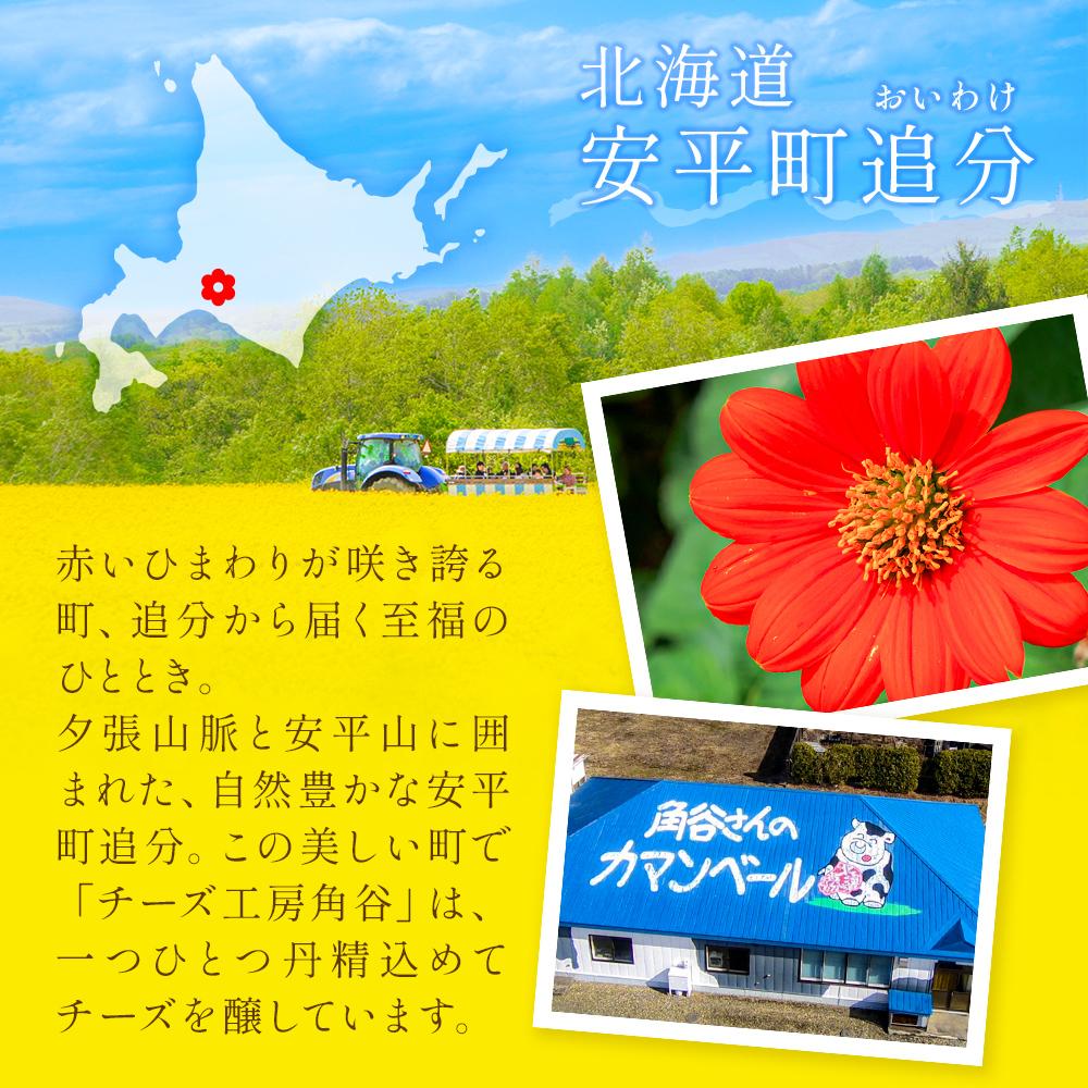【10月配送】 カマンベールチーズ 1個 缶タイプ チーズ工房角谷 KAKUYA カマンベール 配送月指定