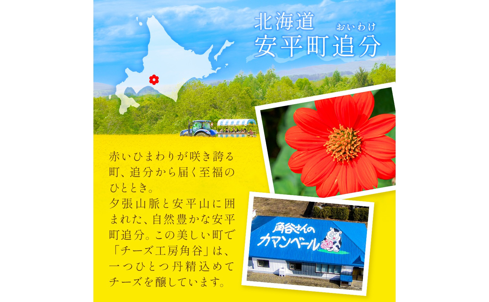 【1月配送】 カマンベールチーズ 4個 缶タイプ チーズ工房角谷 KAKUYA カマンベール 配送月指定