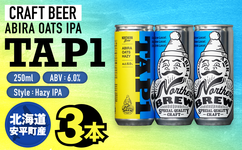 クラフトビール NORTHERN BREW ＜ TAP1(ABIRA OATS HAZY) ＞ 3本 250ml 北海道 安平町 ビール 地ビール 缶ビール 人気 定番 ギフト