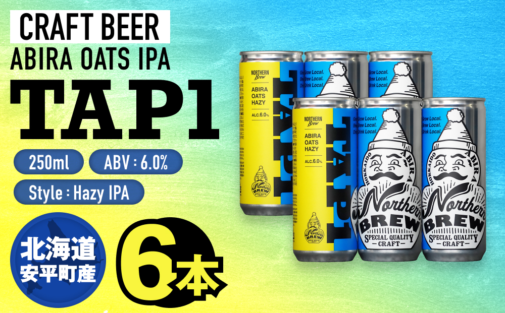 クラフトビール NORTHERN BREW ＜ TAP1(ABIRA OATS HAZY) ＞ 6本 250ml 北海道 安平町 ビール 地ビール 缶ビール 人気 定番 ギフト