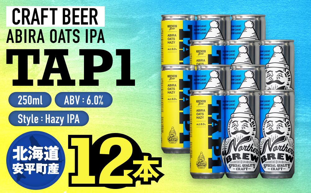 クラフトビール NORTHERN BREW ＜ TAP1(ABIRA OATS HAZY) ＞ 12本 250ml 北海道 安平町 ビール 地ビール 缶ビール 人気 定番 ギフト