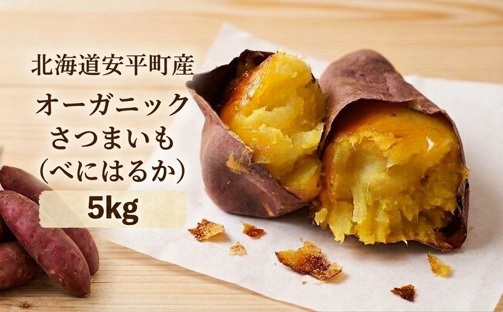 ＜ 先行予約 ＞ オーガニック さつまいも べにはるか 5kg サツマイモ 紅はるか いも イモ 芋 有機栽培 有機野菜 化学農薬不使用 化学肥料不使用 焼き芋 大学芋 北海道 安平町 安平