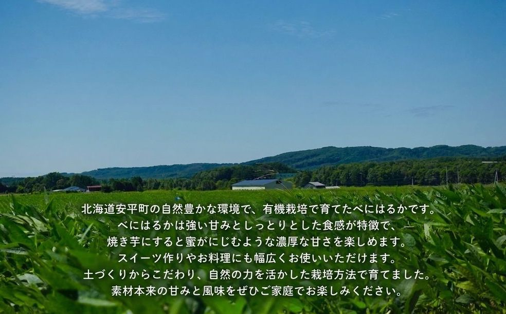 ＜ 先行予約 ＞ オーガニック さつまいも べにはるか 5kg サツマイモ 紅はるか いも イモ 芋 有機栽培 有機野菜 化学農薬不使用 化学肥料不使用 焼き芋 大学芋 北海道 安平町 安平