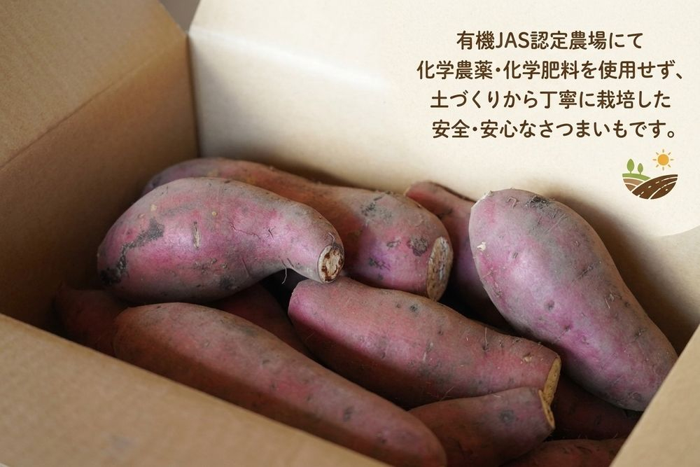 ＜ 先行予約 ＞ オーガニック さつまいも べにはるか 10kg サツマイモ 紅はるか いも イモ 芋 有機栽培 有機野菜 化学農薬不使用 化学肥料不使用 焼き芋 大学芋 北海道 安平町 安平