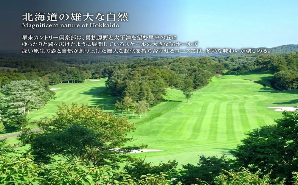 ゴルフ場1日貸切 早来カントリー倶楽部 36ホール 平日セルフプレー限定 2027年度 2028年度 ゴルフ場貸切 ゴルフプレー券 ゴルフ場利用券 北海道 安平町