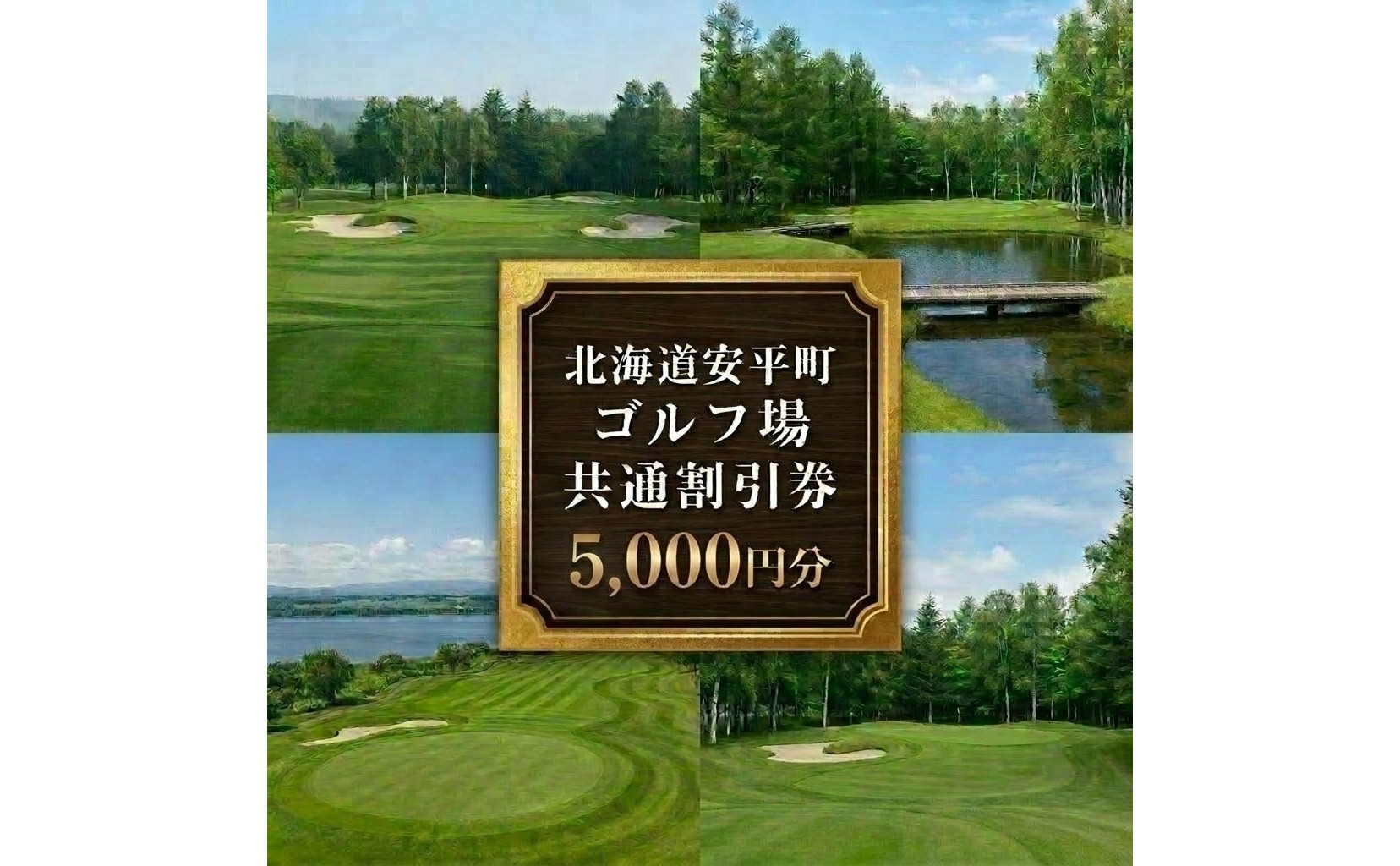 【ふるさと納税】安平町ゴルフ場共通割引券　5000円分（5000円×1枚）