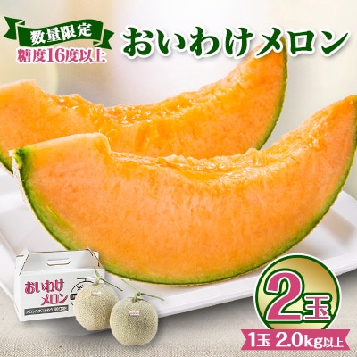 【2026年発送】おいわけメロンパック 糖度16度以上 2.0kg以上×2玉(数量限定)【1102220】