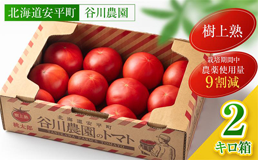 縲仙郁。御コ育エ縲第ィケ荳顔3谿オ謗。繧 譯螟ェ驛弱ヨ繝槭ヨ / 豁」蜩2kg邂ア(10縲15邇牙・)縲宣埼∽ク榊庄蝨ー蝓滂シ夐屬蟲カ縲代1472504縲