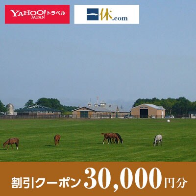 【北海道安平町】一休.com・Yahoo!トラベル割引クーポン(30,000円分)【1151311】
