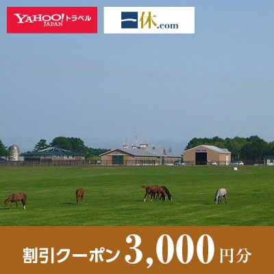 【北海道安平町】一休.com・Yahoo!トラベル割引クーポン(3,000円分)【1151307】