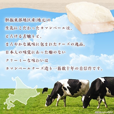 【毎月定期便】高評価! 角谷 カマンベールチーズセット【125g×4個】全3回【配送不可地域：離島】【4013938】