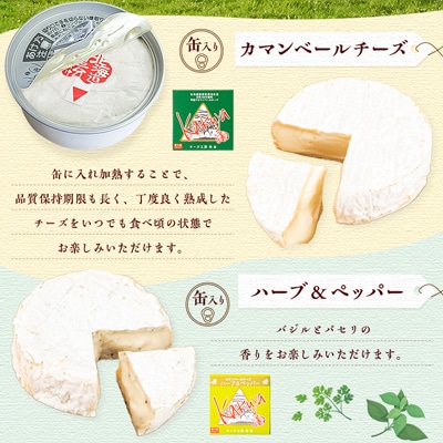 【2ヵ月毎定期便】高評価! 角谷 カマンベールチーズセット【125g×4個】全3回【配送不可地域：離島】【4013939】