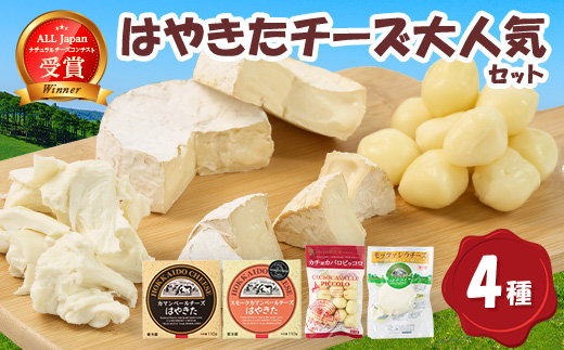 【世界チーズコンテスト受賞】夢民舎はやきたチーズ大人気セット【配送不可地域：離島】【1468533】