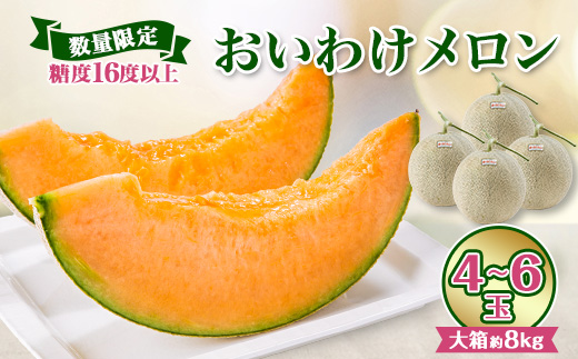 【数量限定】おいわけメロンパック 糖度16度以上 大箱約8kg(4〜6玉)【1226767】
