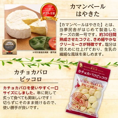 【世界チーズコンテスト受賞】夢民舎はやきたチーズ大人気セット【配送不可地域：離島】【1468533】