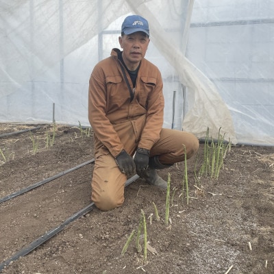 螳牙ケウ逕コ蜃コ蜿」霎イ蝨 縺ョ縲先葎縺」!縲代ワ繧ヲ繧ケ繧ー繝ェ繝シ繝ウ繧「繧ケ繝代Λ繧ャ繧ケ縲800g縲宣埼∽ク榊庄蝨ー蝓滂シ夐屬蟲カ縲代1680762縲