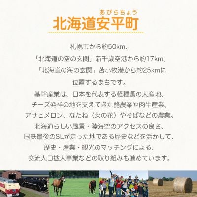 ã2026幎çºéãããããã¡ãã³ãã㯠ç³åºŠ16åºŠä»¥äž 1.4kgååŸÃ3ç(æ°ééå®)ã1137369ã