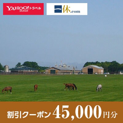 【北海道安平町】一休.com・Yahoo!トラベル割引クーポン(45,000円分)【1151312】