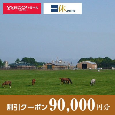 【北海道安平町】一休.com・Yahoo!トラベル割引クーポン(90,000円分)【1151314】