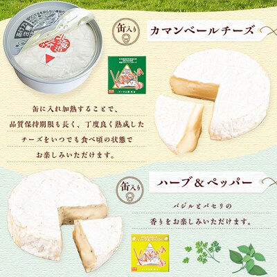 2024年1月発送開始『定期便』角谷 カマンベールチーズセット【125g×4個】全3回【配送不可地域：離島】【5141542】