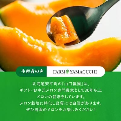 【数量限定】 おいわけメロン 糖度16度以上　1.6kg以上×2玉入【1082977】