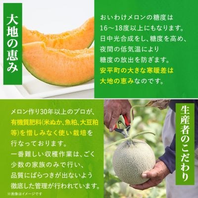 ã2026幎çºéãããããã¡ãã³ ç³åºŠ16åºŠä»¥äž 2.0kg以äžÃ1ç(æ°ééå®)ã1102196ã