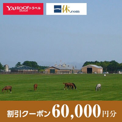 【北海道安平町】一休.com・Yahoo!トラベル割引クーポン(60,000円分)【1151313】
