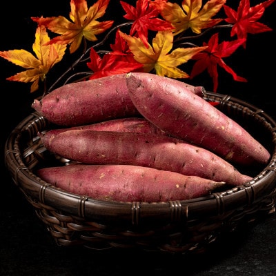 【北海道安平町】琥珀干し芋　《保存料・人工着色料不使用》 100g×6袋【配送不可地域：離島】【1674868】