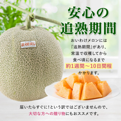 縲先焚驥城剞螳壹代♀縺繧上¢繝。繝ュ繝ウ繝代ャ繧ッ 邉門コヲ16蠎ヲ莉・荳 螟ァ邂ア邏8kg(4縲6邇)縲1226767縲