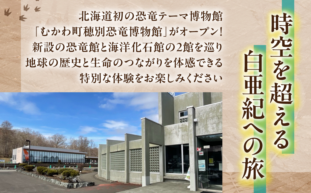 ã什å8幎4æ25æ¥OPENãæç«Ãæµ·æŽåç³ïŒãããçºç©å¥æç«åç©é€š å
±éå
¥é€šåžã倧人çšïŒæã»ãã MKWAM004