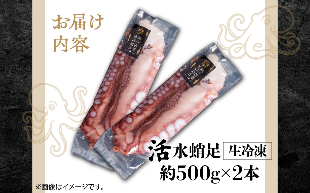 魴。蟾晄シ∝鵠逋コシ∵エサ豌エ逕溯嶌雜ウ蜀キ蜃搾シ育エ1kgシ MKWV004