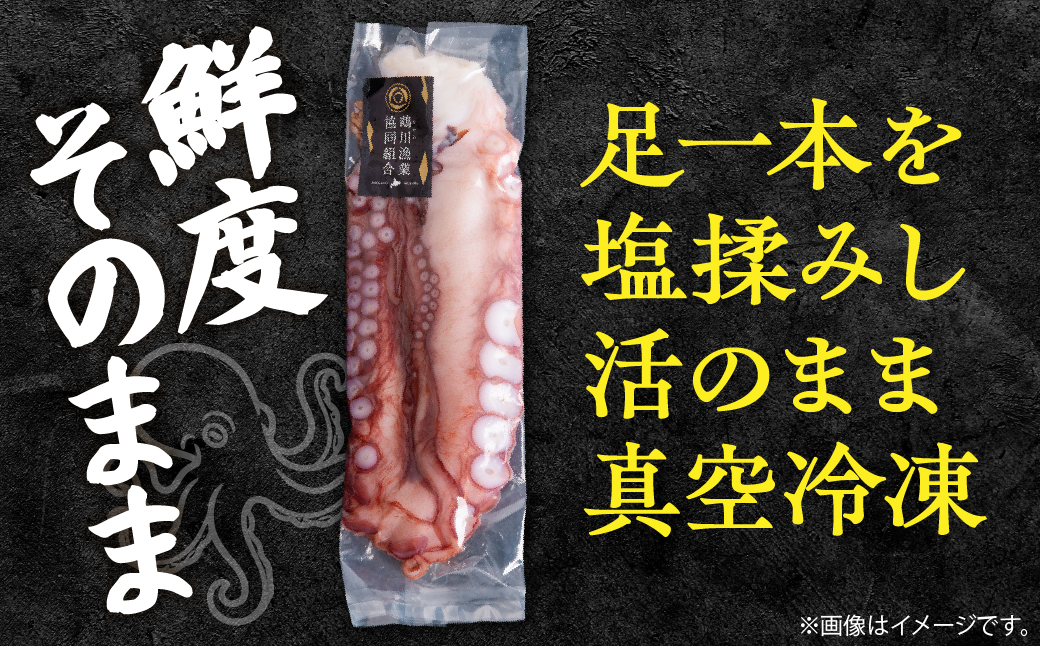 魴。蟾晄シ∝鵠逋コシ∵エサ豌エ逕溯嶌雜ウ蜀キ蜃搾シ育エ1kgシ MKWV004