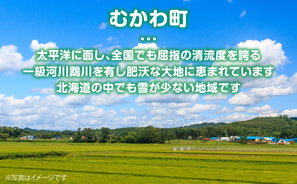 恐竜ぬいぐるみ　食物連鎖　海竜編 MKWG039