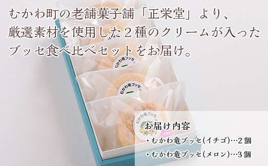 北海道むかわ町 むかわ竜ブッセ イチゴクリーム(2個)&メロンクリーム(3個)計5個 食べ比べセット MKWQ002